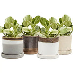 Minute - Glazed Modern Ceramic Pot with Saucer: Blue Aqua / 5"