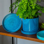 Ocean plant pot 13cm