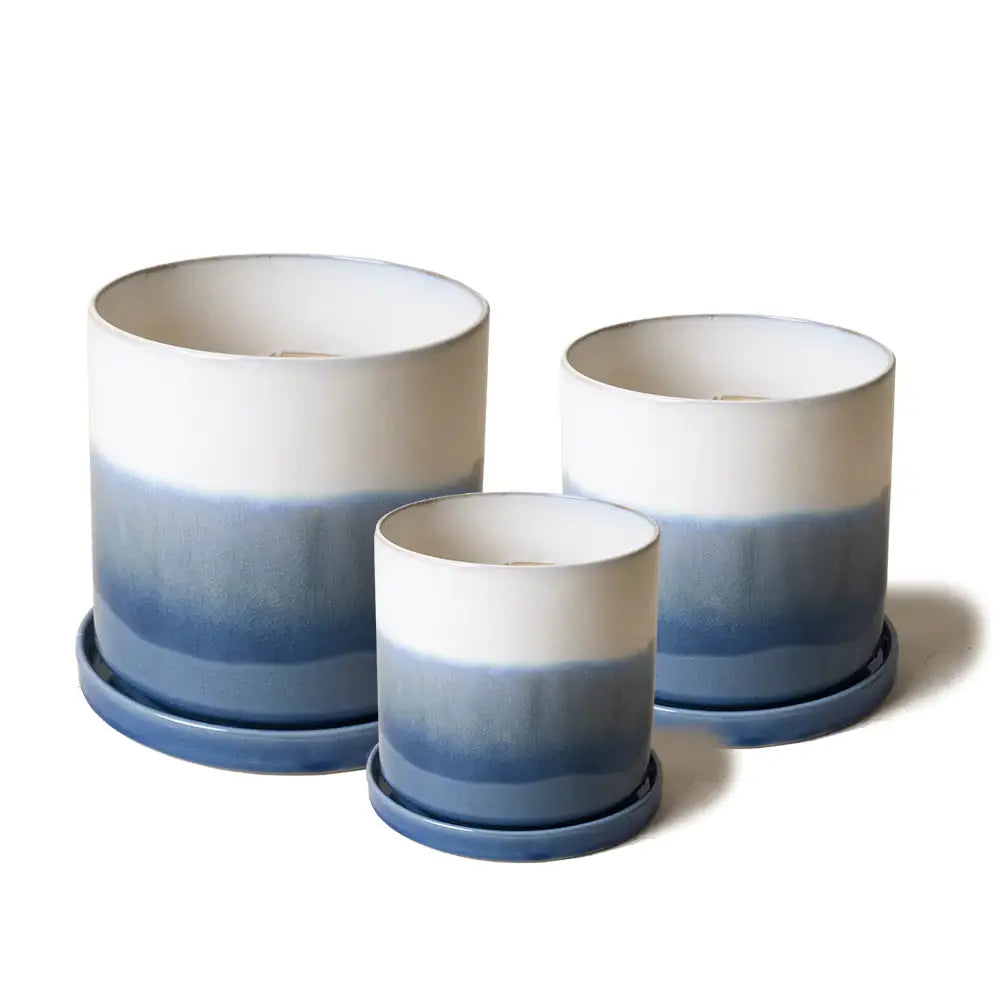 Minute, 6/7/8" Pot & Saucer: Cosmo