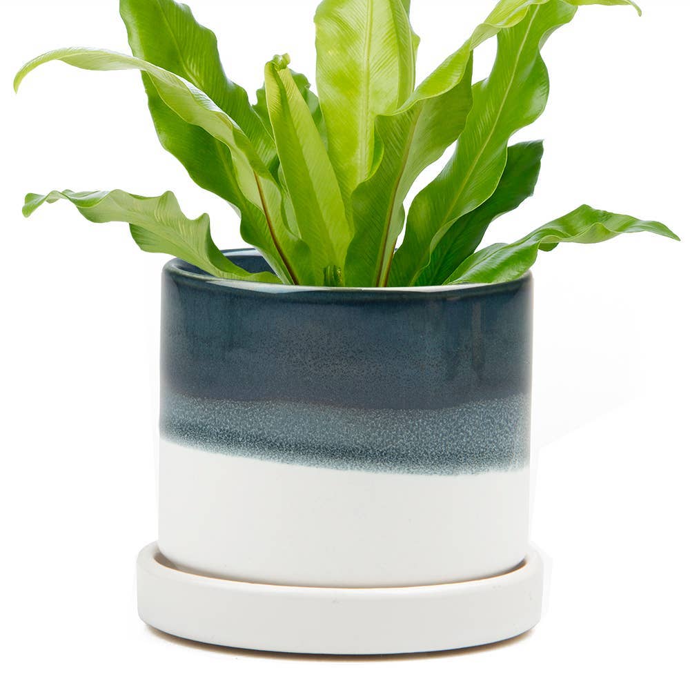 Minute - Glazed Modern Ceramic Pot with Saucer: Blue Aqua / 5"