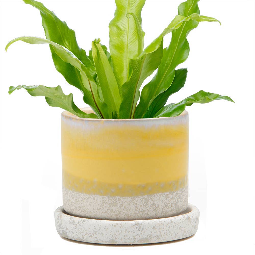 Minute - Glazed Modern Ceramic Pot with Saucer: Blue Aqua / 5"