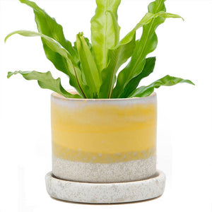Minute - Glazed Modern Ceramic Pot with Saucer: Blue Aqua / 5"
