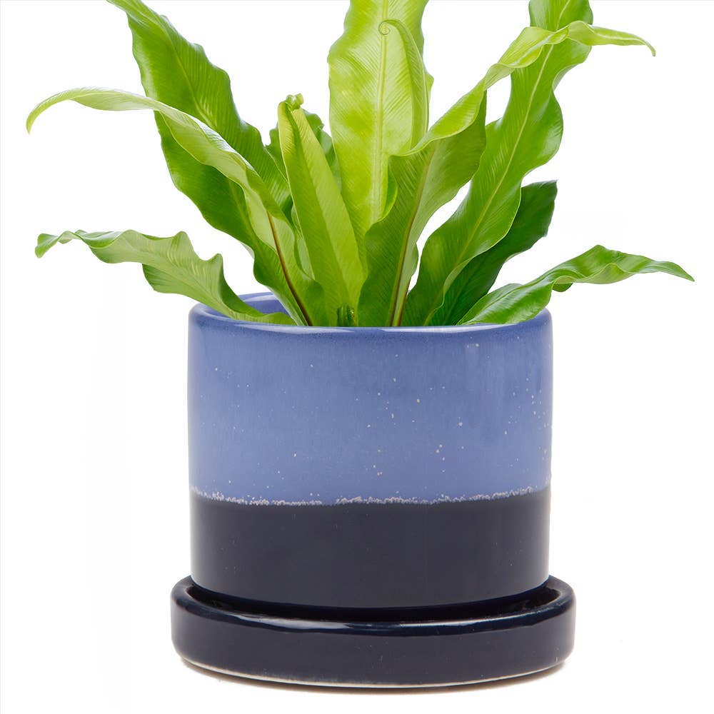 Minute - Glazed Modern Ceramic Pot with Saucer: Blue Aqua / 5"