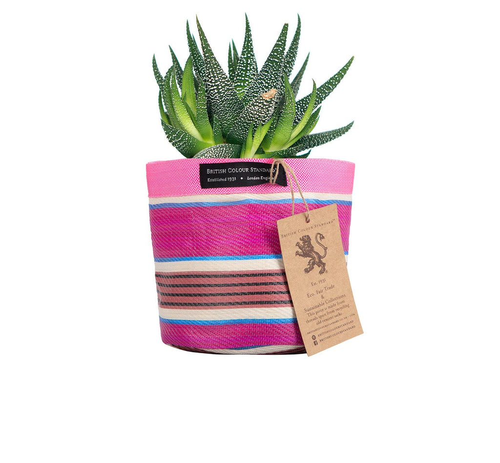 Small 14 cm - Eco Woven Plant Pot Cover in Neyron Pink, Pompadour & Pearl: 6