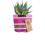 Small 14 cm - Eco Woven Plant Pot Cover in Neyron Pink, Pompadour & Pearl: 6