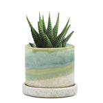 Minute - Glazed Modern Ceramic Pot with Saucer: Burgundy / 5"