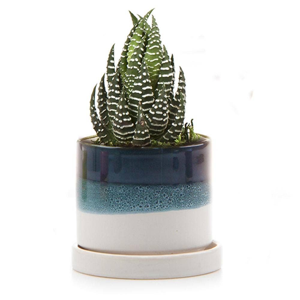 Minute - Glazed Modern Ceramic Pot with Saucer: Blue Aqua / 5"