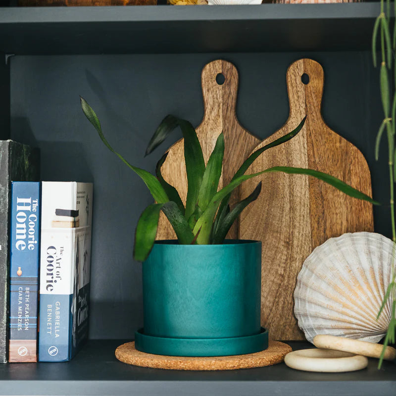 13cm plant pot Ocean plant pot 13cm – Barvas&James