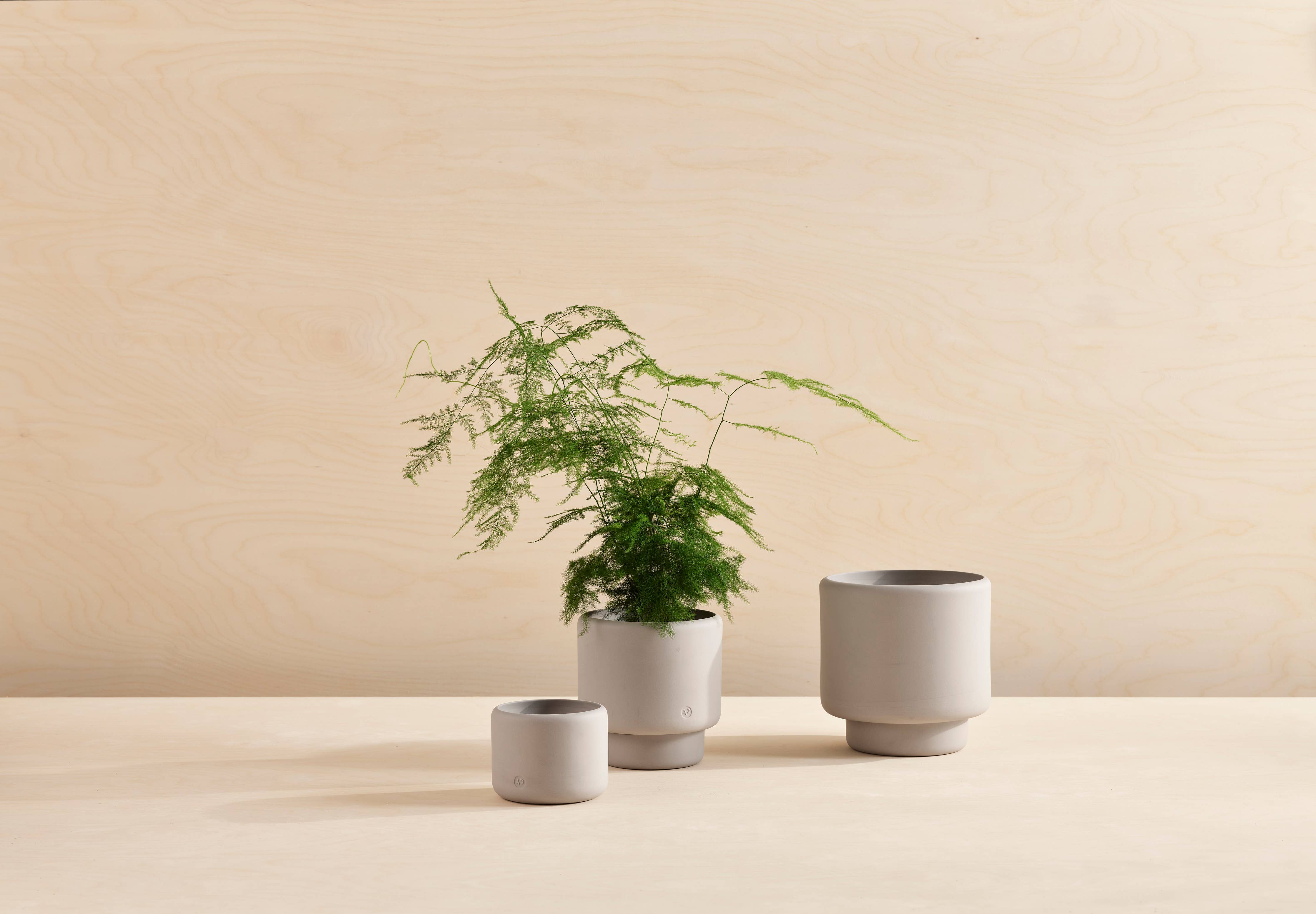 BOTANY porcelain plant pot MEDIUM: Graphite Black