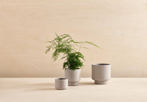 BOTANY porcelain plant pot MEDIUM: Graphite Black