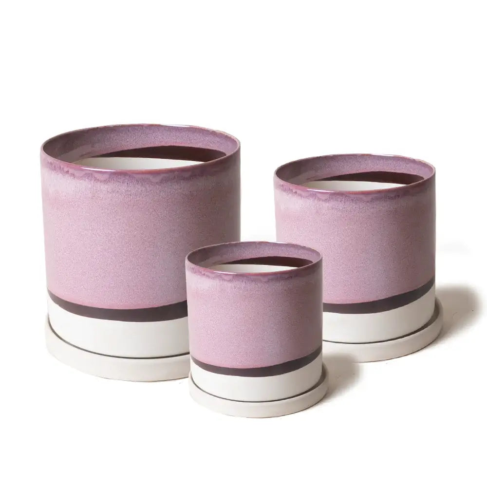 Minute, 6/7/8" Pot & Saucer: Cosmo