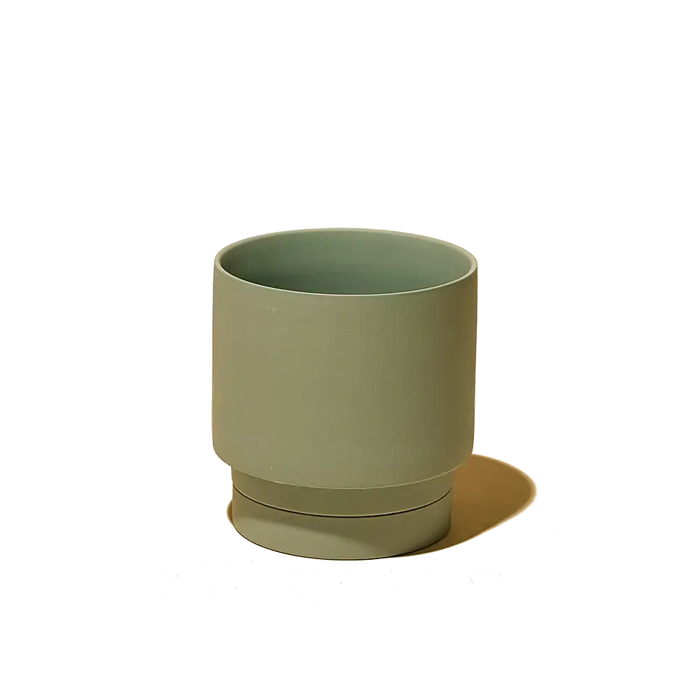 Casey, 5" Pot & Saucer: Olive