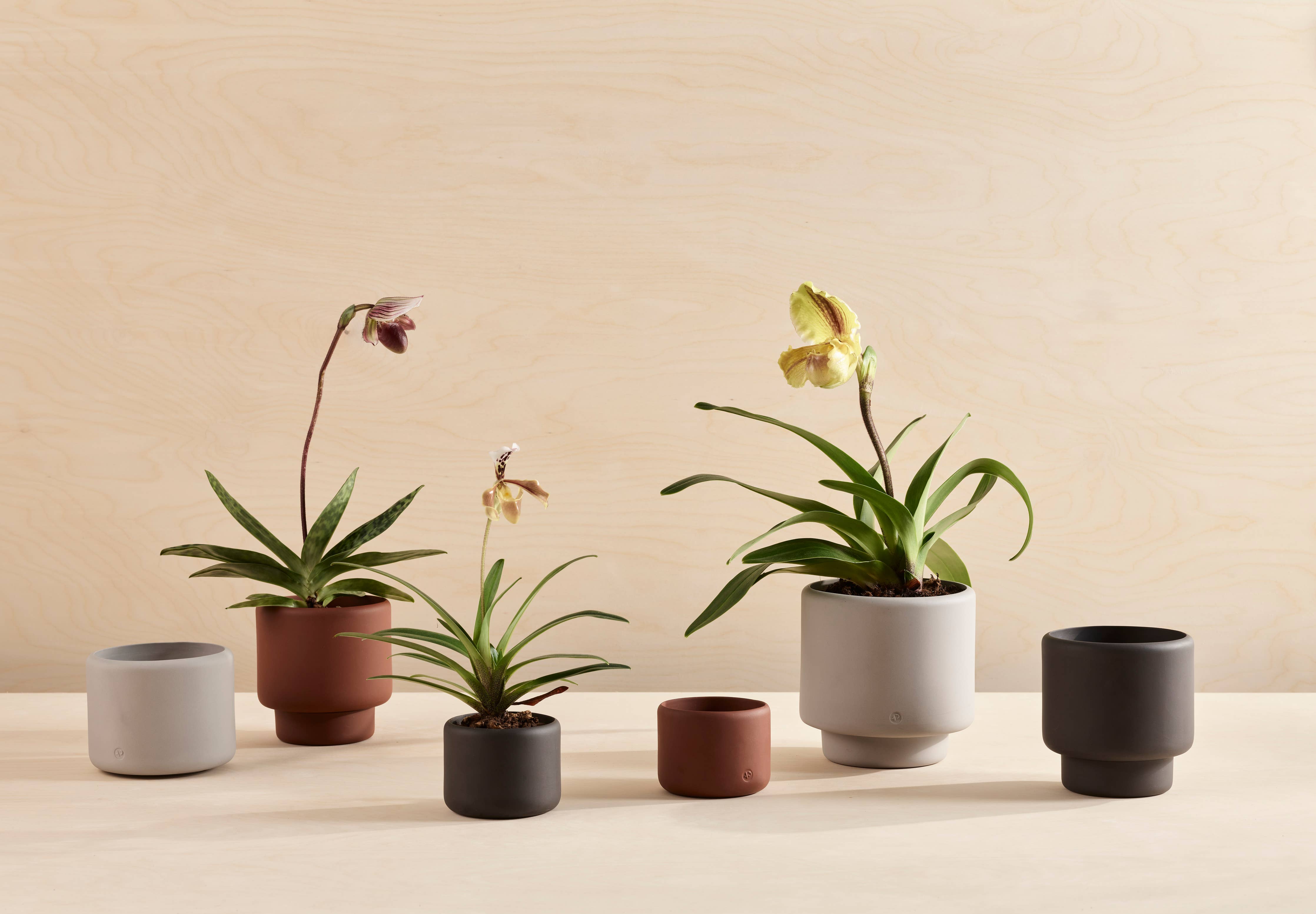 BOTANY porcelain plant pot MEDIUM: Graphite Black