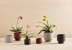 BOTANY porcelain plant pot MEDIUM: Graphite Black