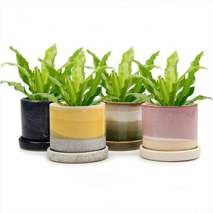 Minute - Glazed Modern Ceramic Pot with Saucer: Blue Aqua / 5"
