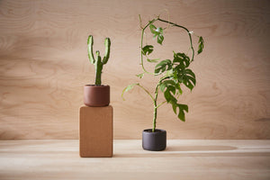 BOTANY porcelain Plant Pot SMALL: Graphite Black