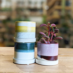 Minute - Glazed Modern Ceramic Pot with Saucer: Boombastic / 5"