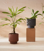 BOTANY porcelain plant pot MEDIUM: Graphite Black