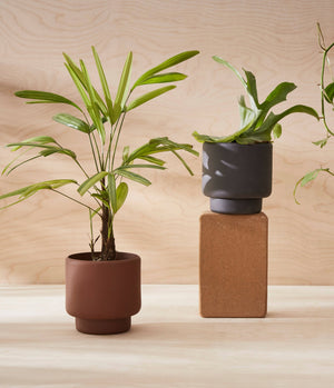 BOTANY porcelain plant pot MEDIUM: Graphite Black