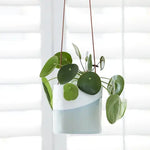 Hanging Pot - Dip