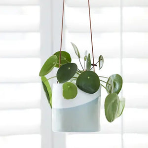 Hanging Pot - Dip