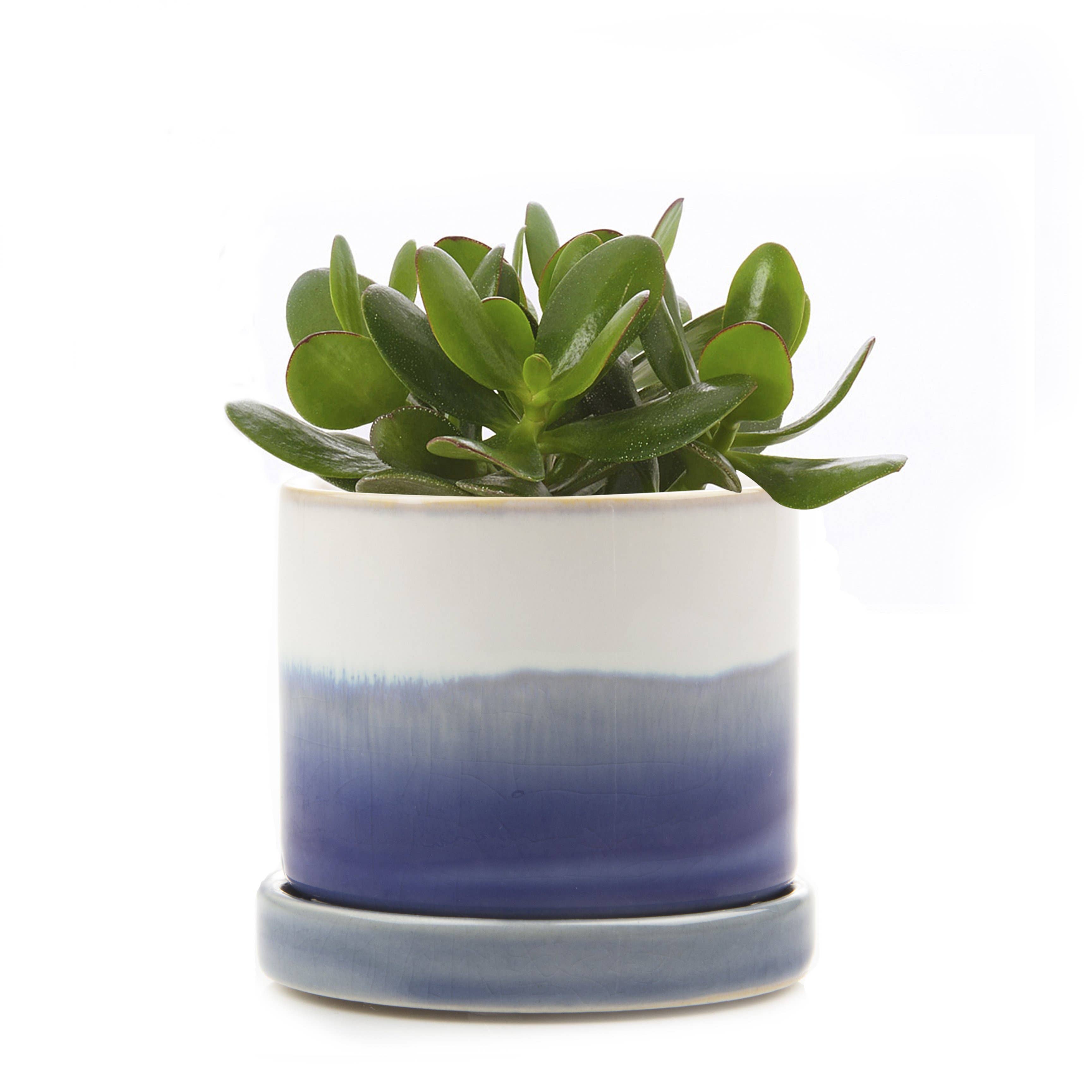 Minute - Glazed Modern Ceramic Pot with Saucer: Blue Aqua / 5"