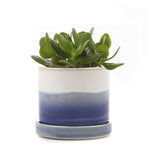 Minute - Glazed Modern Ceramic Pot with Saucer: Blue Aqua / 5"