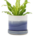 Minute - Glazed Modern Ceramic Pot with Saucer: Blue Aqua / 5"