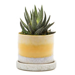 Minute - Glazed Modern Ceramic Pot with Saucer: Blue Aqua / 5"