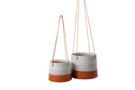 NEW Collectors Hanging Pot Terracotta / Blush 9.5cm