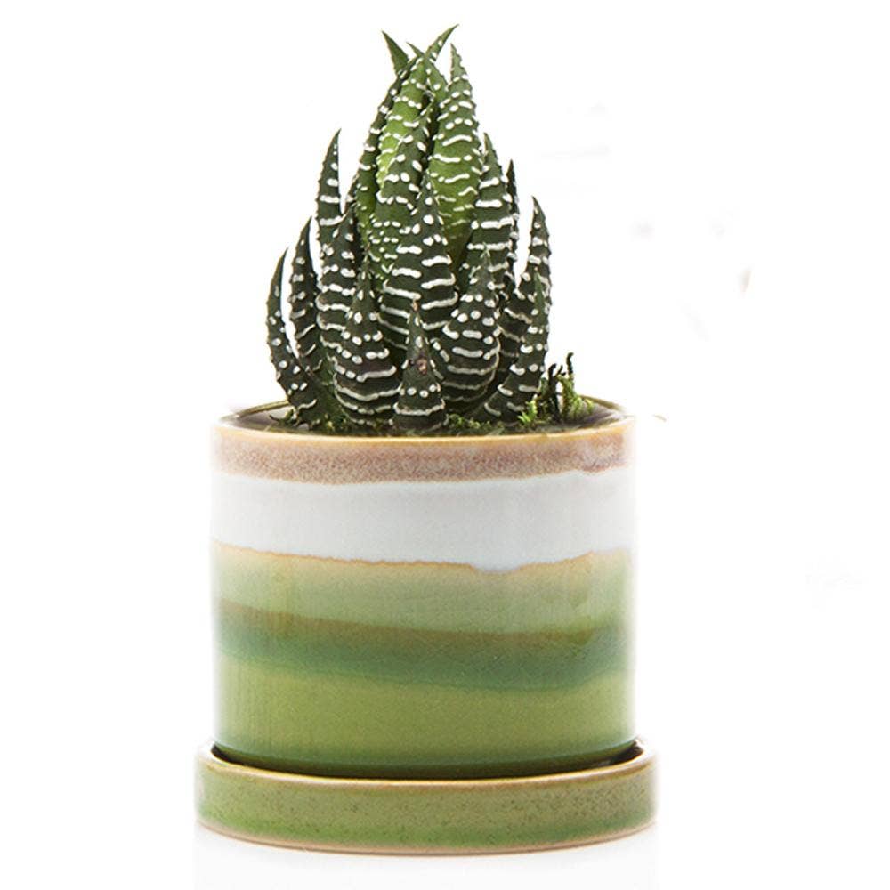 Minute - Glazed Modern Ceramic Pot with Saucer: Blue Aqua / 5"