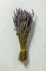 Dried Lavandin Bunches - Dried Flowers