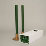 Holly Leaf Coloured Taper Candles - 12hr Burn