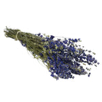 Dried Flowers - Delphinium Natural Blue