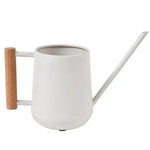 Indoor Watering Can - Stone