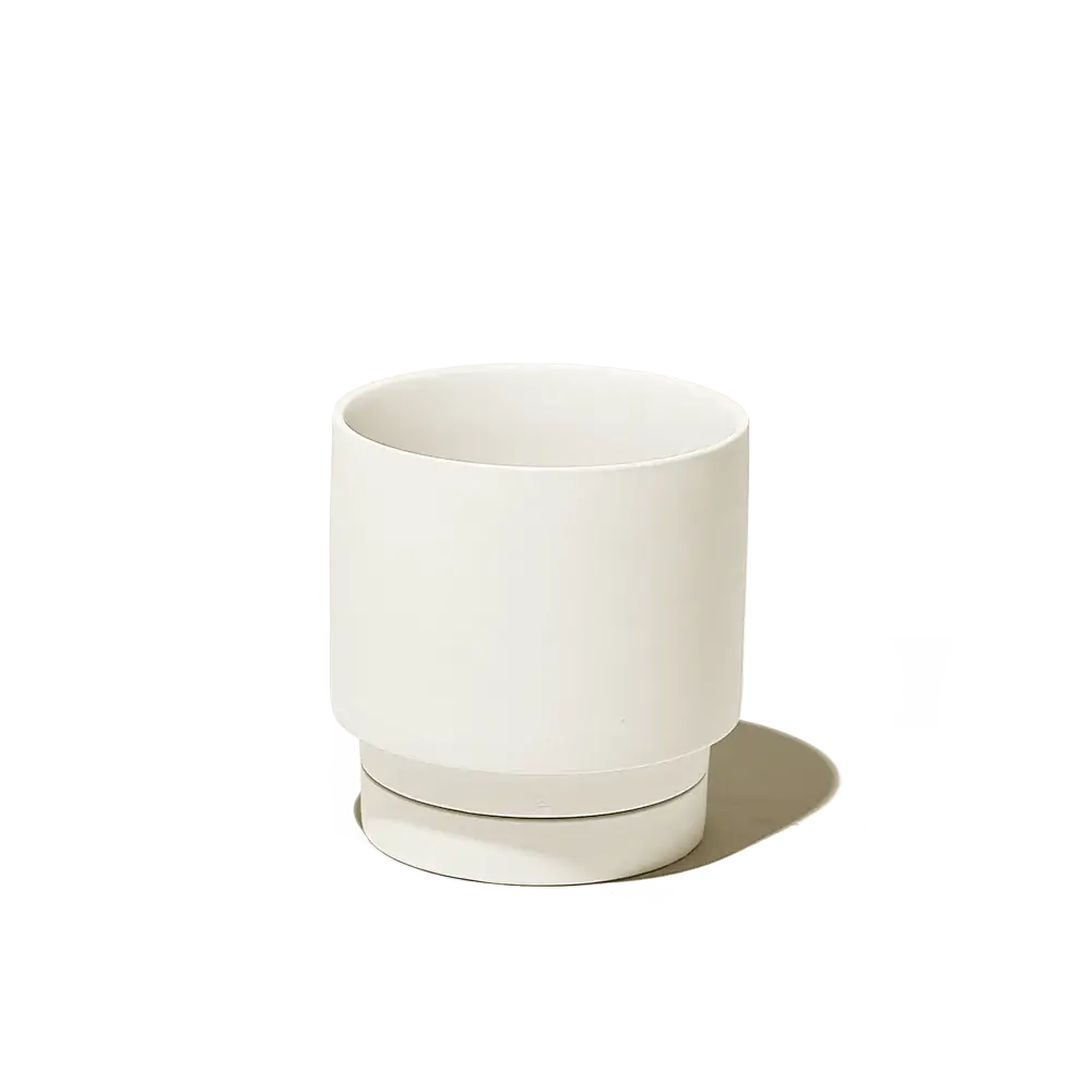 Casey, 5" Pot & Saucer: Olive