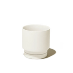 Casey, 5" Pot & Saucer: Olive