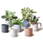 Dojo, 3.5” Pot & Saucer: Sandstone