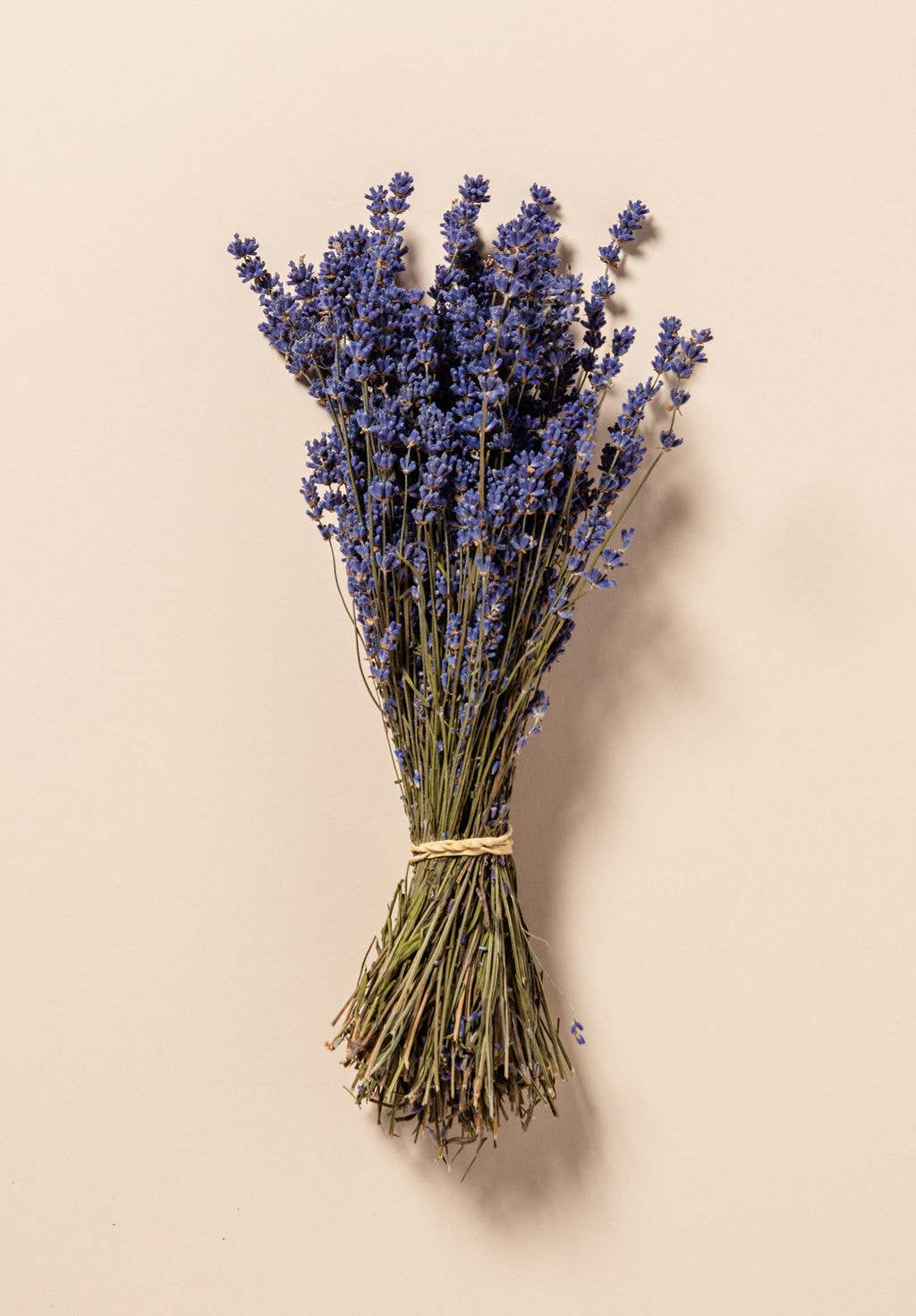 Dried Lavender Bunch Large