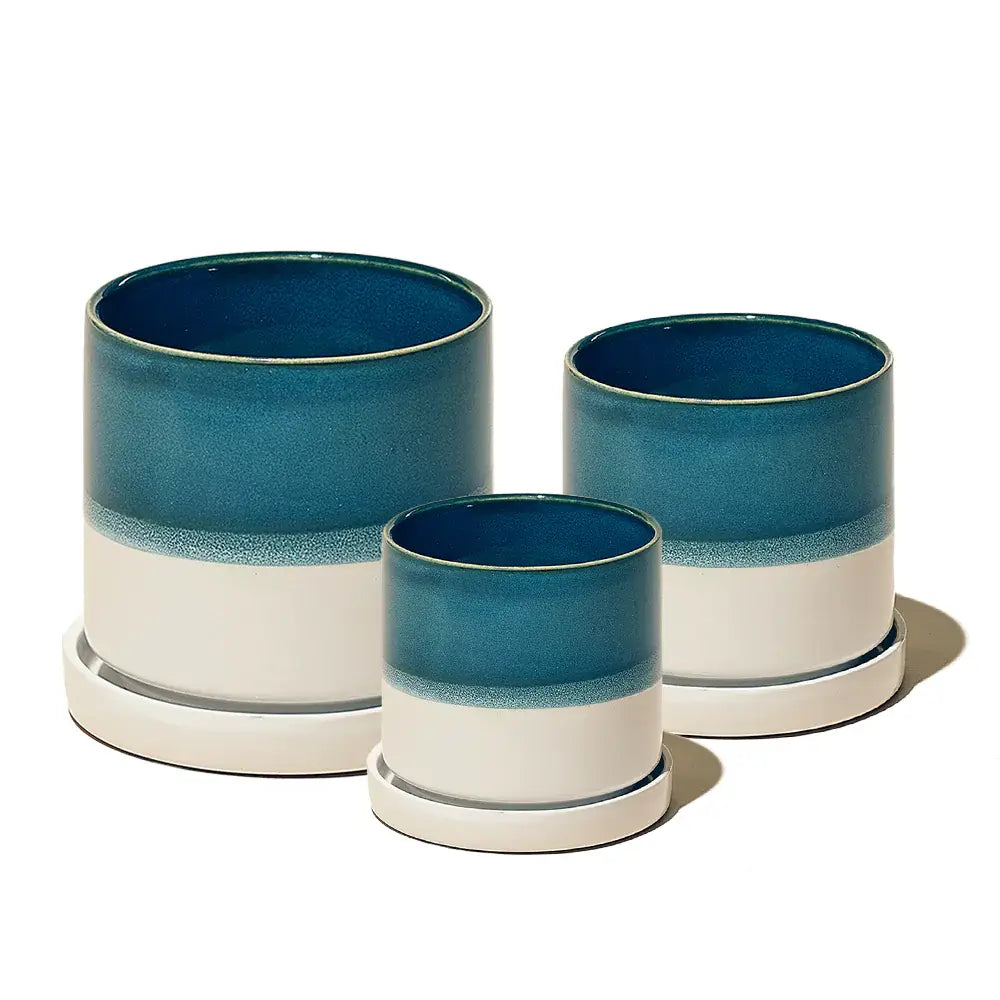 Minute, 6/7/8" Pot & Saucer: Cosmo