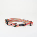 Rope Dog Collar Multicoloured: Small