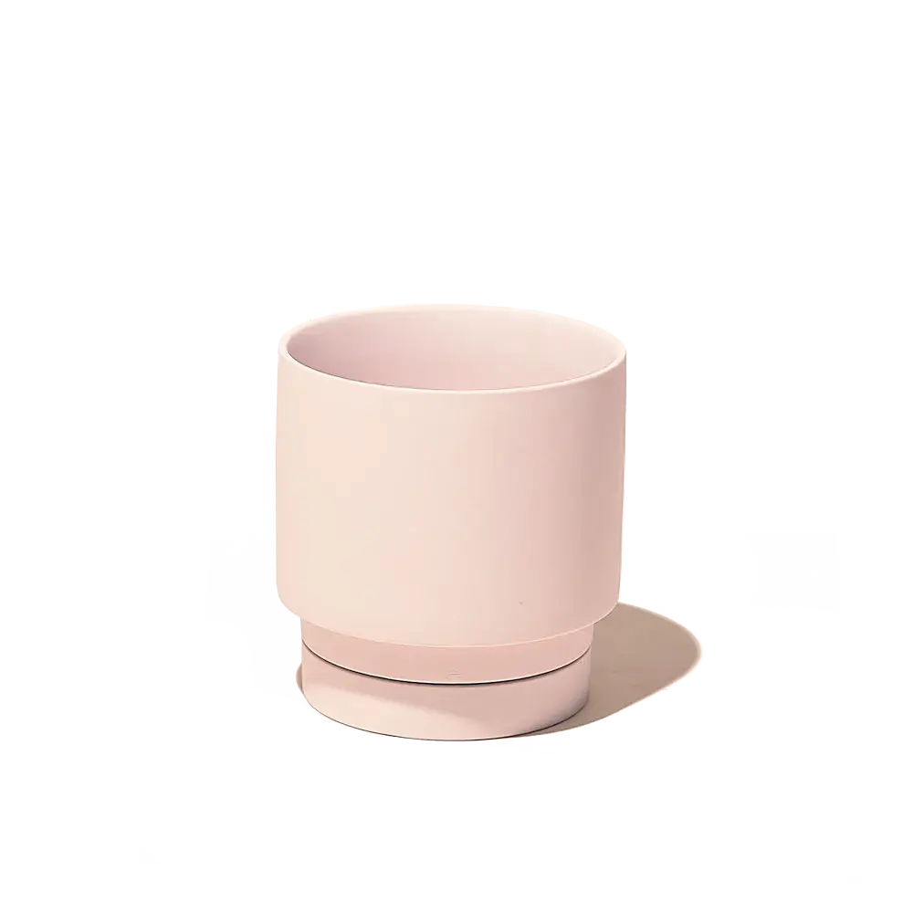 Casey, 5" Pot & Saucer: Pink Blush