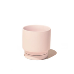 Casey, 5" Pot & Saucer: Pink Blush