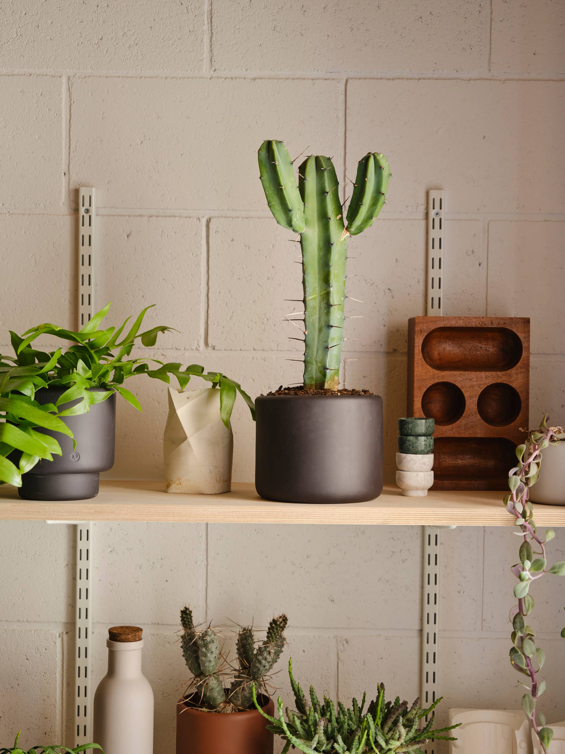 BOTANY porcelain plant pot LARGE: Graphite Black