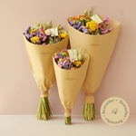 Dried Flowers - Field Bouquet - Multi: Small