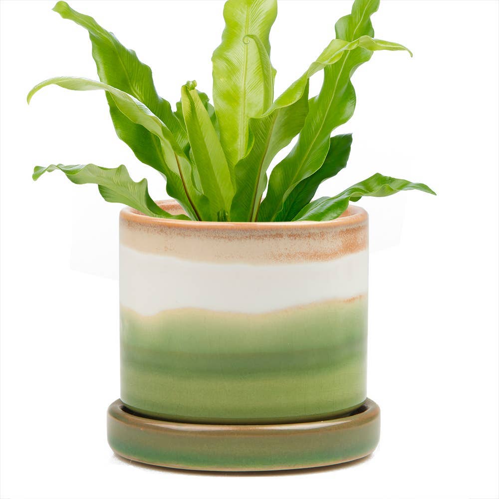 Minute - Glazed Modern Ceramic Pot with Saucer: Blue Aqua / 5"