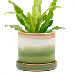 Minute - Glazed Modern Ceramic Pot with Saucer: Blue Aqua / 5"