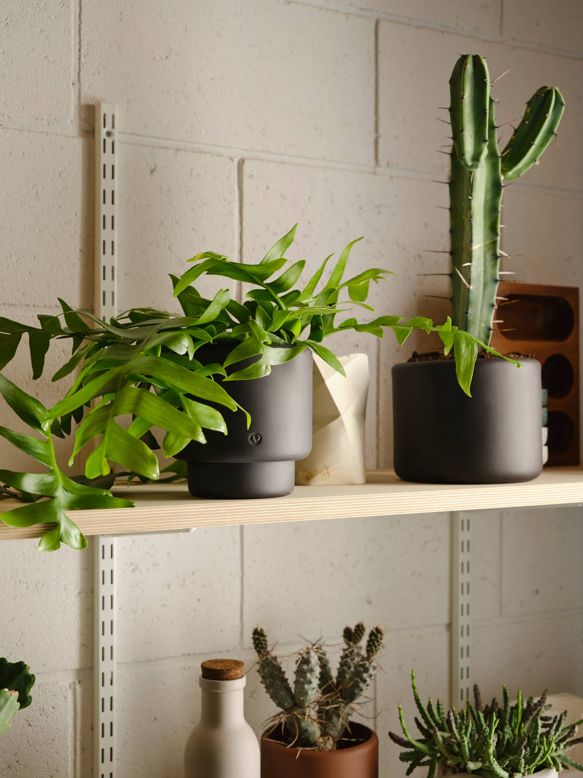 BOTANY porcelain plant pot LARGE: Graphite Black