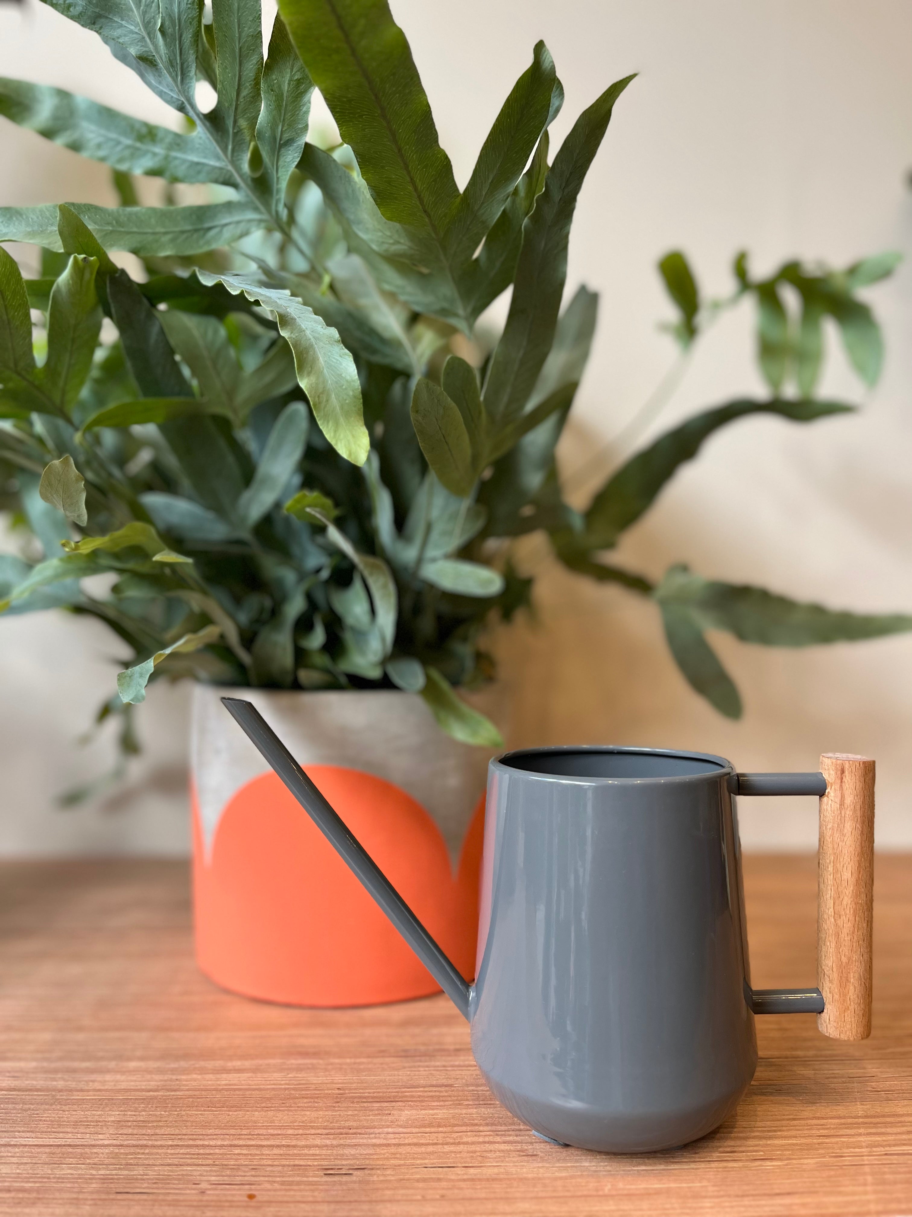 Indoor Watering Can - Charcoal