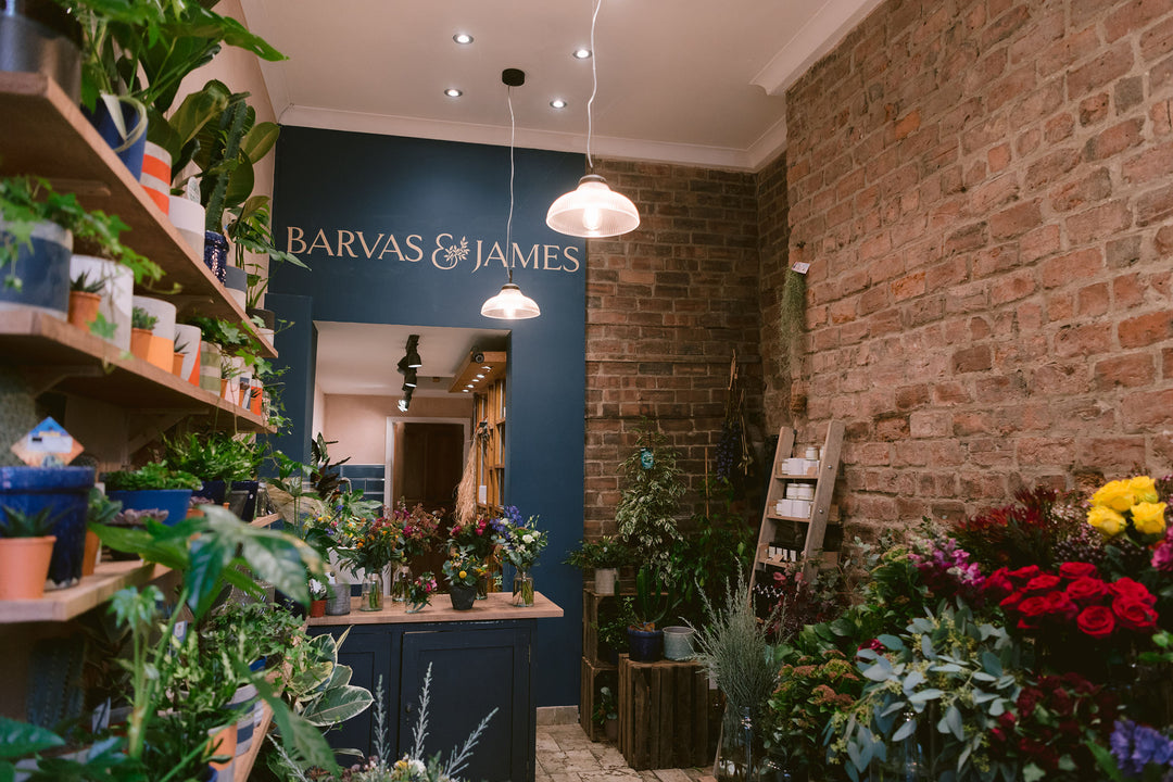 Independent florist in Glasgow West End providing fresh flowers